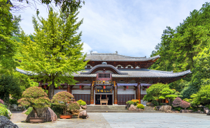 根宫佛国文化旅游景区